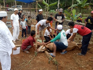 Kurban dan Aqiqah Pondok Tasbih Pondok Pesantren Thoriqoh Ikhwanul Qalam